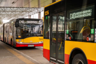 Linie autobusowe w Warszawie z nowymi oznaczeniami. ZTM wprowadza system kolorów