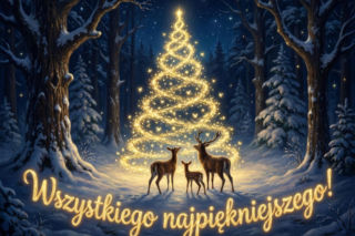 Obrazki z życzeniami na Boże Narodzenie 2025. Darmowe grafiki do wysłania na święta