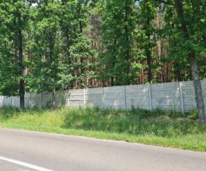 Gmina Sieniawa sprzedała las z historyczną mogiłą [ZDJĘCIA]