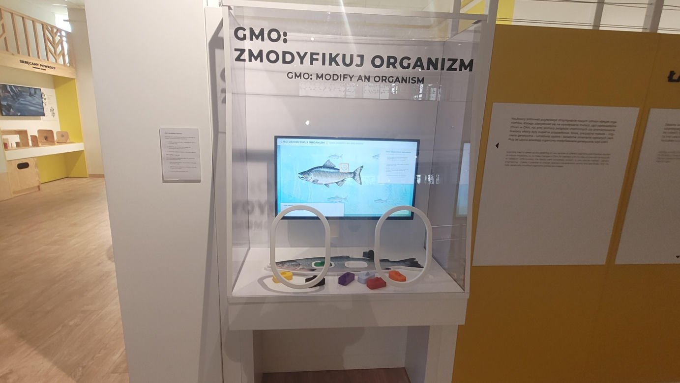 Wielkie otwarcie Centrum Nauki „Kortosfera”. „Jesteśmy dla wszystkich” [ZDJĘCIA]