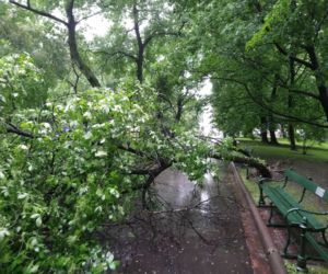 Nawałnica nad Krakowem. Powyrywane drzewa na Plantach