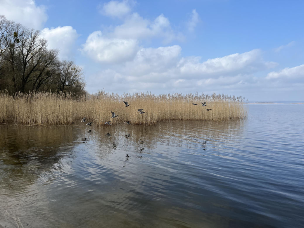 Kąpielisko i Jezioro Dąbie