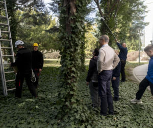 Włodzimierz Czarzasty robi budki dla ptaków Sejm/Piotr Tracz