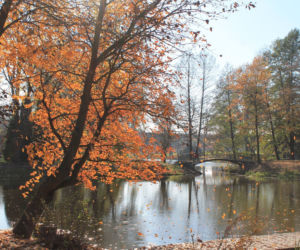 Ogród Botaniczny