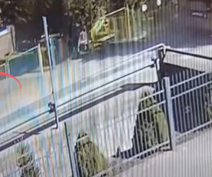 Potężna kłoda drewna runęła przed wejściem do szkoły