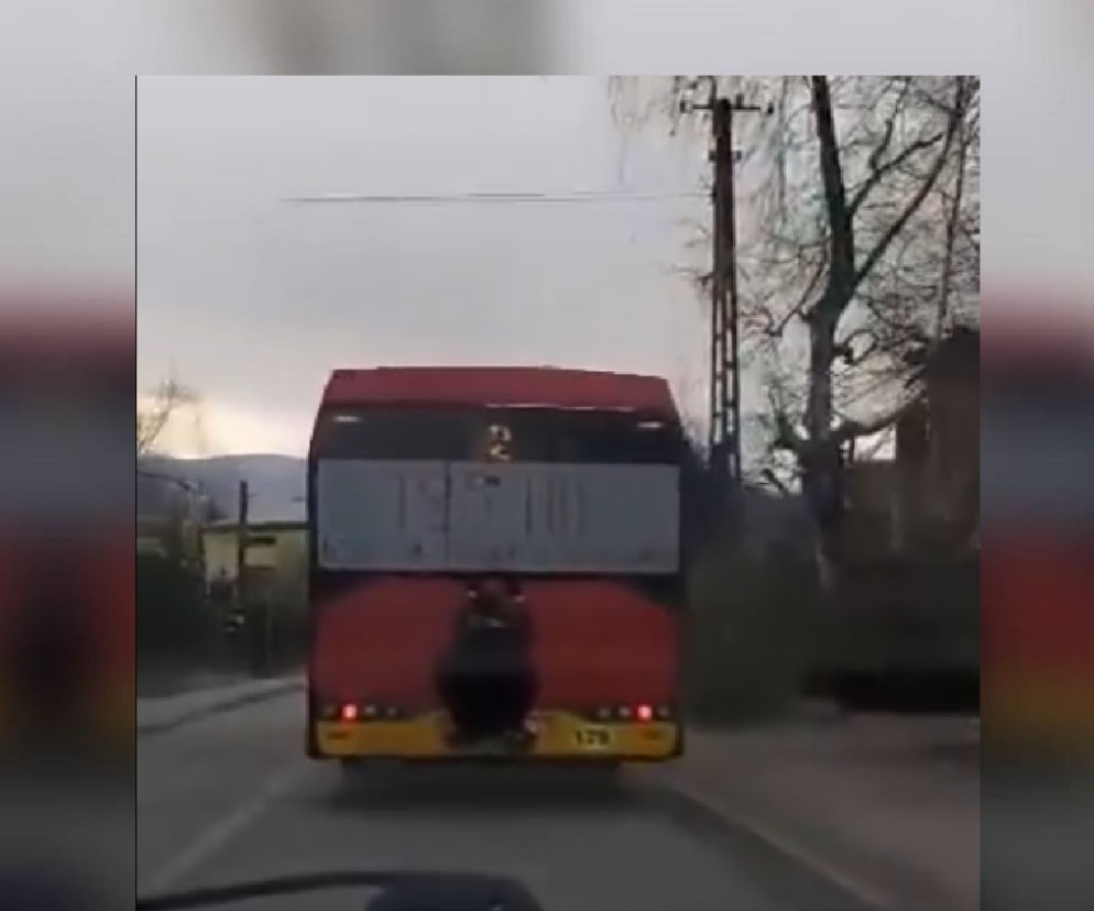 Bielsko-Biała: Pasażer na gapę jechał na zderzaku autobusu! To nagranie jest hitem [ZDJĘCIA]