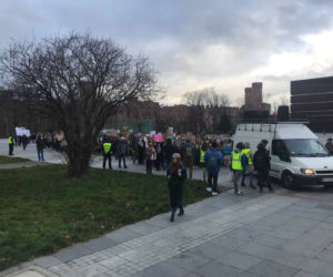 Manifestacja w obronie klimatu