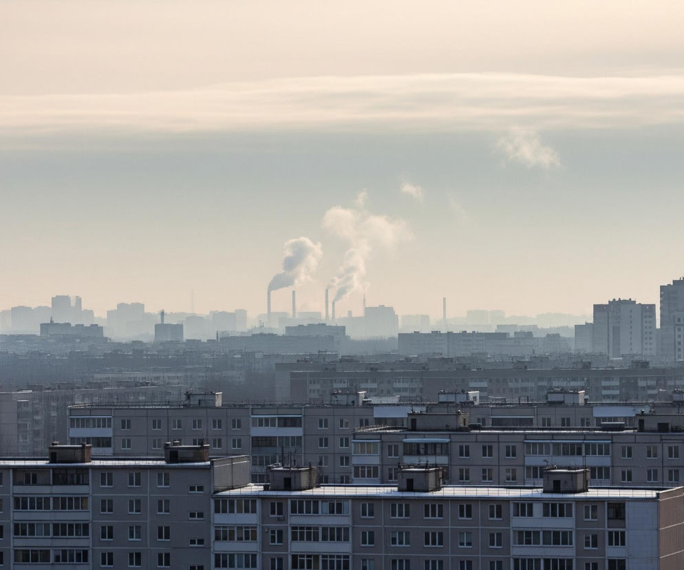 Na obrazie dominują liczne bloki mieszkalne, tworzące miejski krajobraz rozciągający się daleko w głąb. Większość budynków jest szara, z widocznymi rzędami okien, a ich dachy pokryte są lekką warstwą śniegu. W tle, w oddali, unosi się dym z kilku wysokich kominów, zanikając w jasnym, zamglonym niebie, które zajmuje górną część kadru.