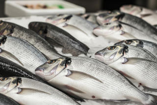 Karp na wigilijnym stole. Skąd wzięła się ta komunistyczna tradycja?