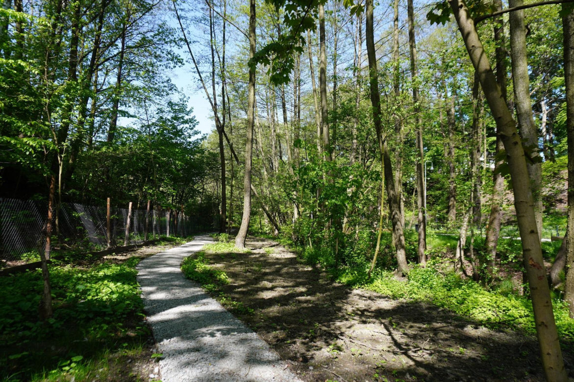 Tak wygląda park w dolinie Ślepiotki w Katowicach