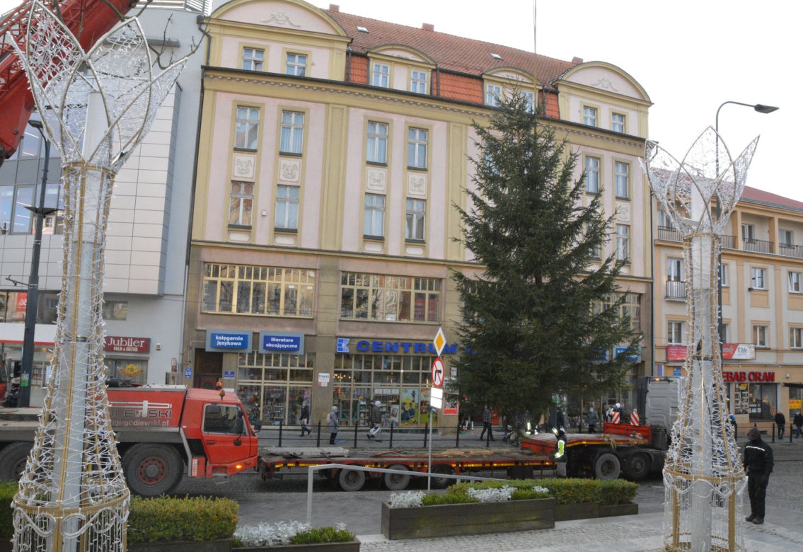 Miejska choinka już w Olsztynie. Ma ponad 8 metrów wysokości [ZDJĘCIA]