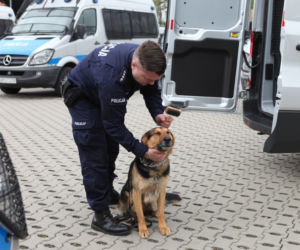 Nowy samochód dla plutonu przewodników psów służbowych 