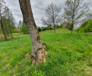 Działka na dawnym cmentarzu? Właściciele odpierają zarzuty. Wylała się na nas fala hejtu”