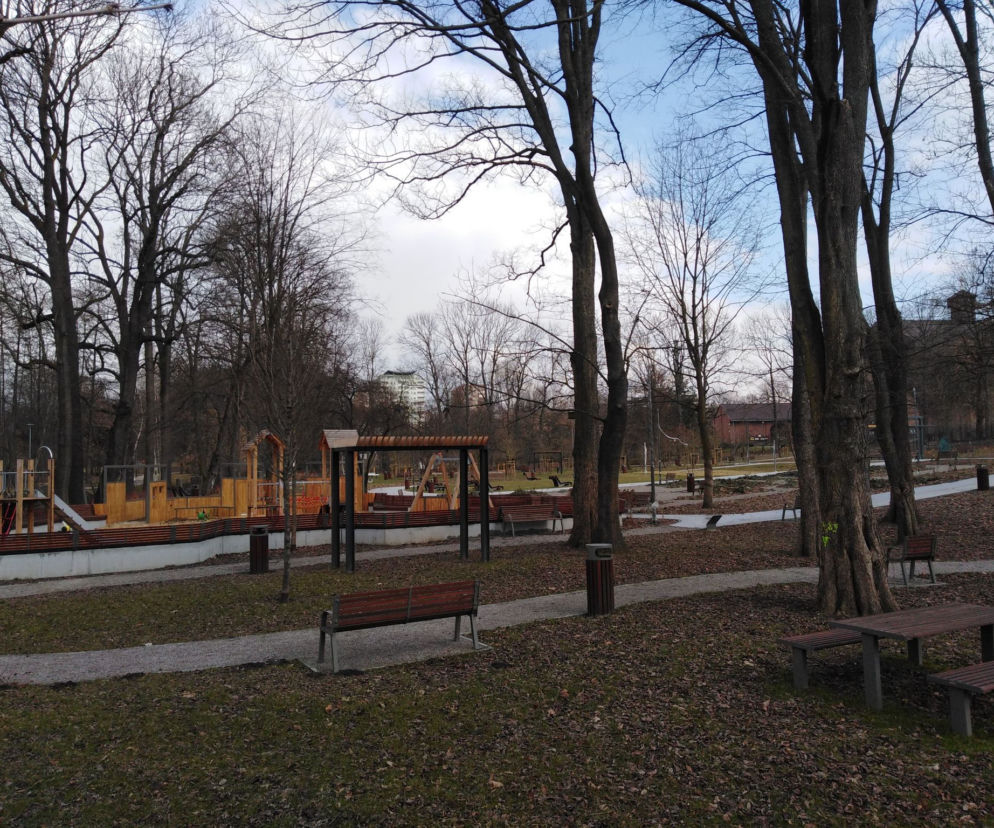 Park przy Naczelnej