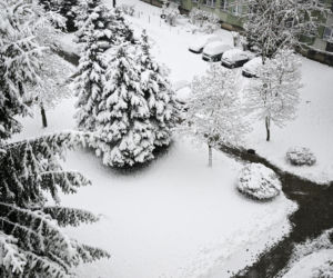 Atak zimy w Polsce. Śnieżyca paraliżuje południe kraju. Strażacy mieli ponad 1,5 tys. interwencji