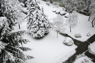 Atak zimy w Polsce. Śnieżyca paraliżuje południe kraju. Strażacy mieli ponad 1,5 tys. interwencji