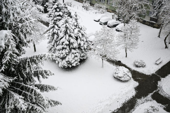 Atak zimy w Polsce. Śnieżyca paraliżuje południe kraju. Strażacy mieli ponad 1,5 tys. interwencji