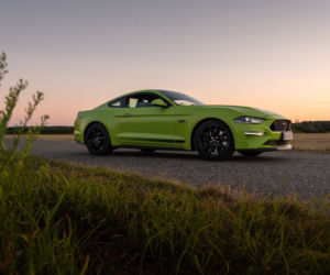 Ford Mustang GT 5.0 V8 55 Edition
