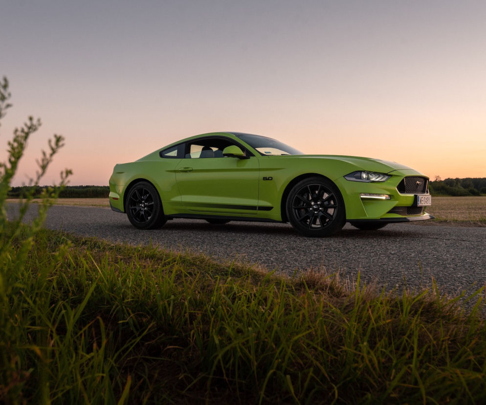Ford Mustang GT 5.0 V8 55 Edition