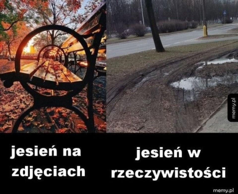 Równonoc jesienna 2020. Zobacz najlepsze memy na pierwszy dzień jesieni