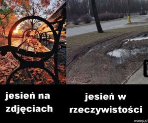 Równonoc jesienna 2020. Zobacz najlepsze memy na pierwszy dzień jesieni