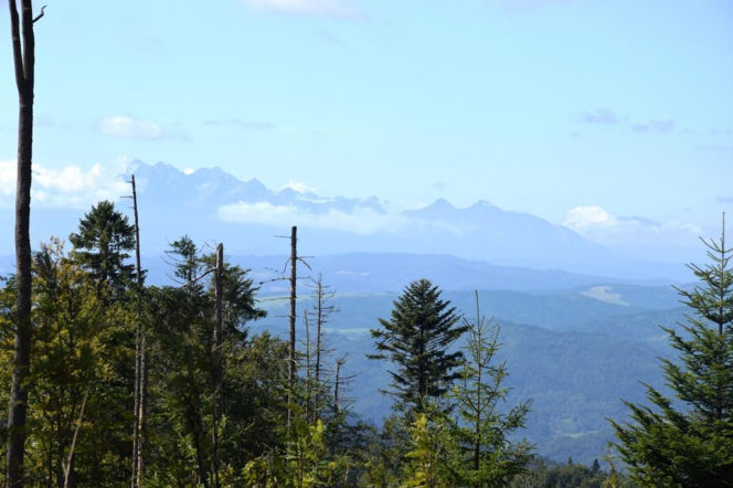 Górski krajobraz z widokiem na Tatry. O fałszywych ofertach noclegów w górach przeczytasz na Eska Nowy-Sącz.