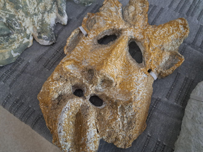 Maszkarada - Tarnowski Karnawał