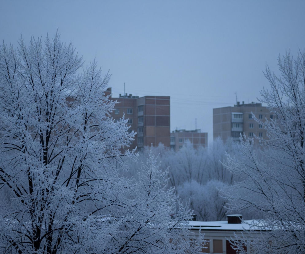 Wielki mróz zbliża się do Warszawy. Kiedy nastąpi atak? Najnowsza prognoza