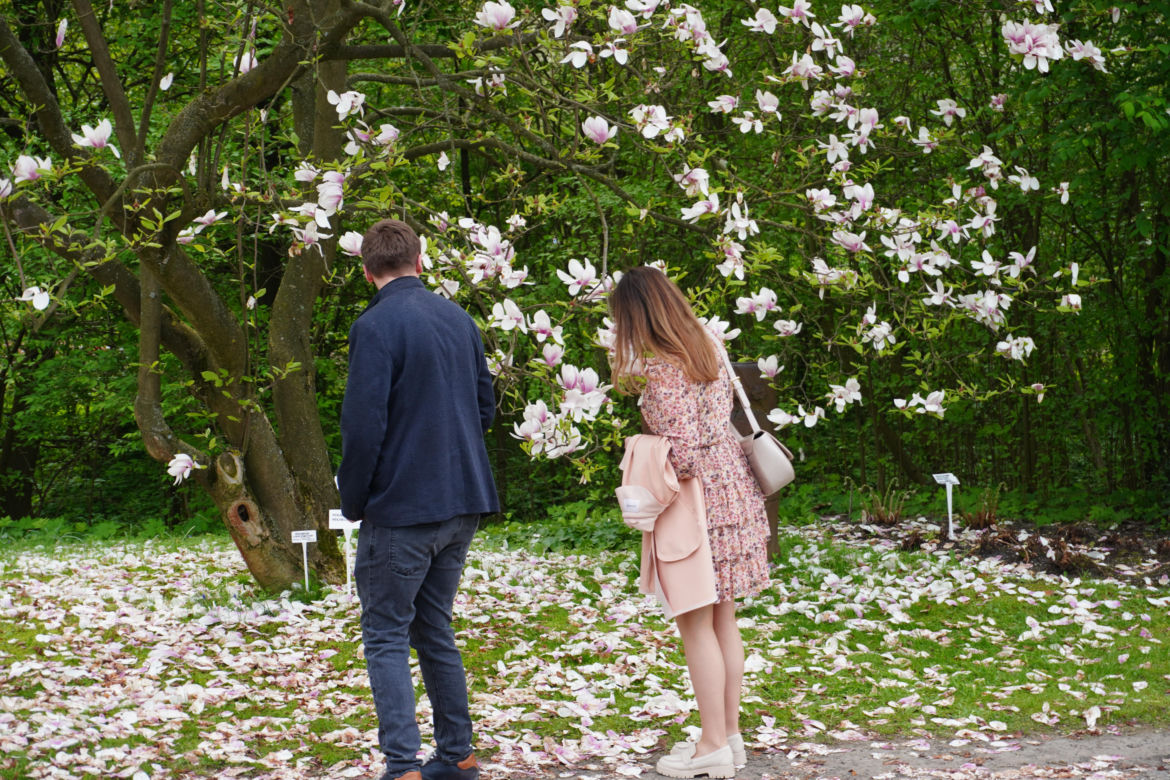 Ogród Botaniczny w Lublinie