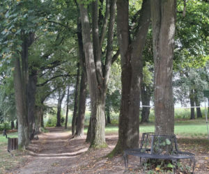 Chocimów