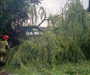 Groźne burze w Świętokrzyskiem (22.06.2026)