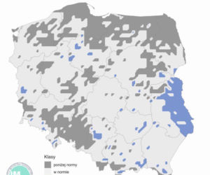 Pogoda na sierpień 2020: Długoterminowa prognoza pogody