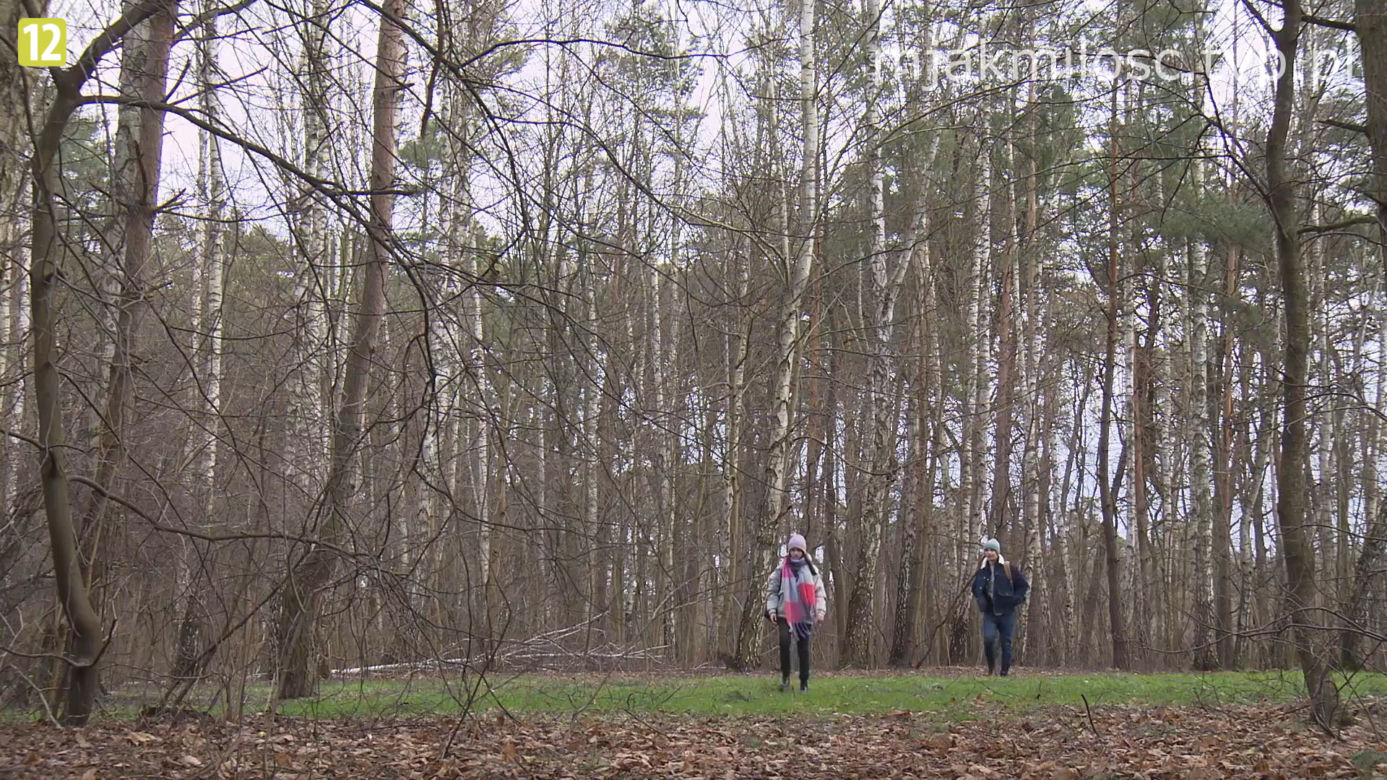 M jak miłość: Basia (Karina Woźniak), Antek Nieśpielak