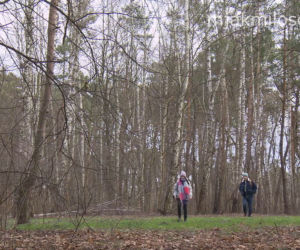 M jak miłość: Basia (Karina Woźniak), Antek Nieśpielak