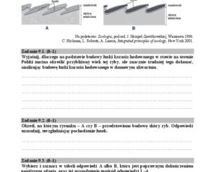 Matura biologia9