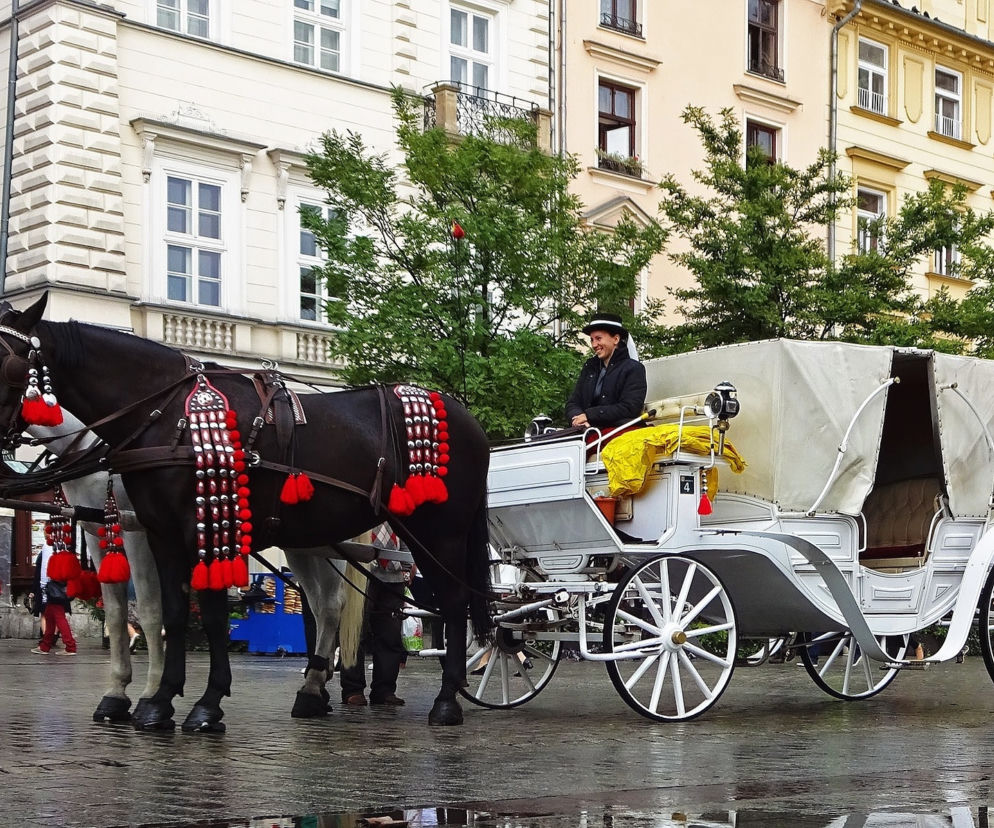 Koronawirus w Krakowie. Wprowadzono zakaz dla dorożek na Rynku Głównym