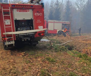 Pożar Lubańskiego Wielkiego Lasu 