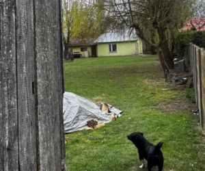 Miała wziąć zegar w kształcie słonia i zabić nim własną matkę. Mała wieś na Lubelszczyźnie w szoku