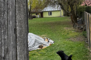 Miała wziąć zegar w kształcie słonia i zabić nim własną matkę. Mała wieś na Lubelszczyźnie w szoku