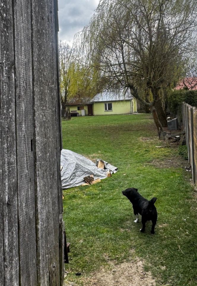Miała wziąć zegar w kształcie słonia i zabić nim własną matkę. Mała wieś na Lubelszczyźnie w szoku