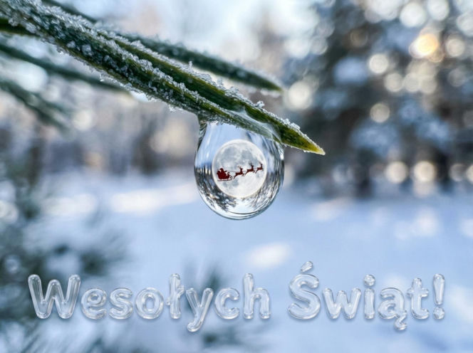 Boże Narodzenie 2025: Najpiękniejsze życzenia na Wigilię 2025. Pobierz za darmo i wyślij do najbliższych