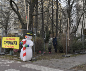  Gdzie najtaniej kupić choinkę w Warszawie? 