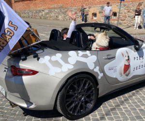 Ogólnopolskie Rozpoczęcie Sezonu Cabrio 2026 Olsztynek cz.2