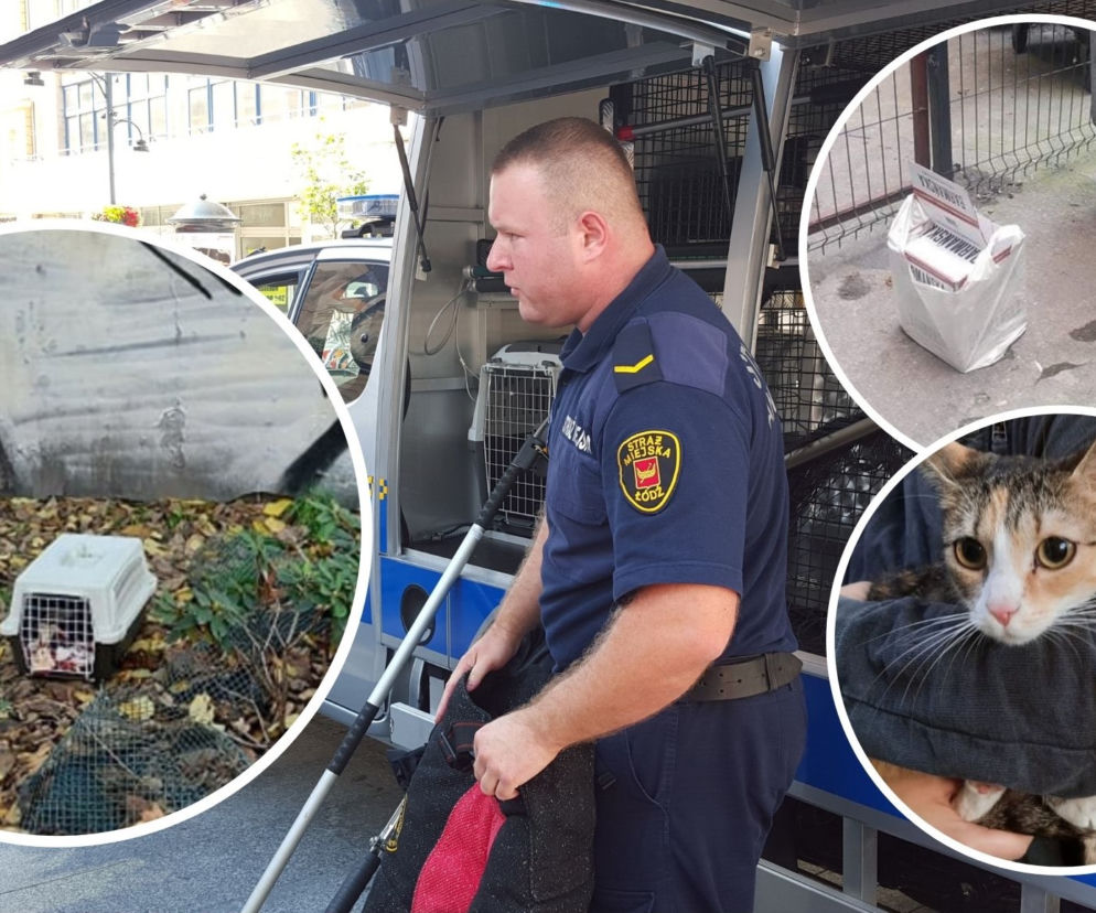 Te interwencje łódzkiego Animal Patrolu łamią serce...