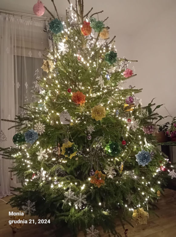Choinki naszych Czytelników. Taki klimat tylko w woj. lubelskim!