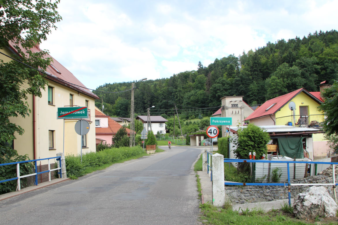 Pokrzywna