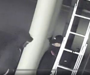 Rutkowski na tropie włamywaczy