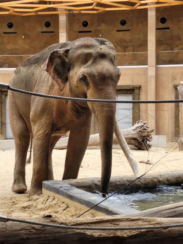 Orientarium Łódź ZOO