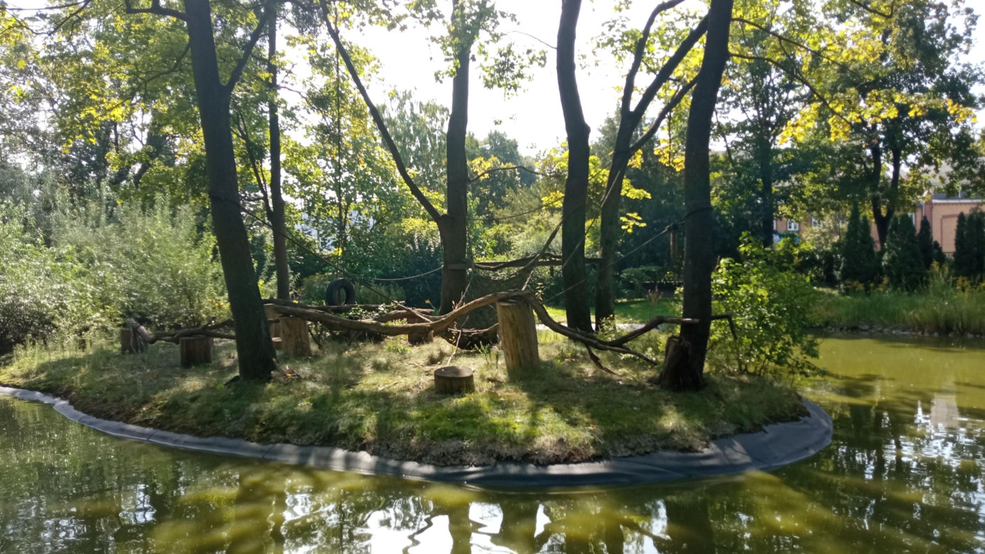 Stare ZOO w Poznaniu. Idealne miejsce na rodzinne spacery w sercu miasta 
