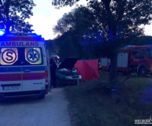 Tragiczny wypadek pod Sępólnem Krajeńskim! Nie żyje mężczyzna [ZDJĘCIA] 